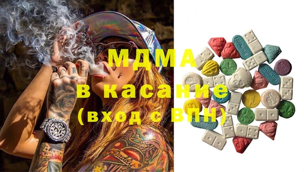 гашик Каменка