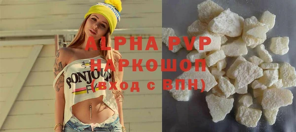 гашик Каменка