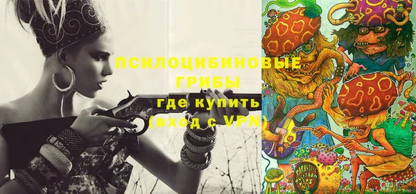 спиды Каменск-Шахтинский