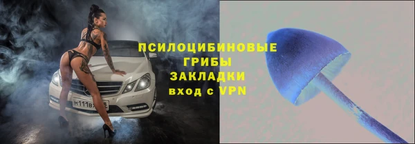 гашик Каменка