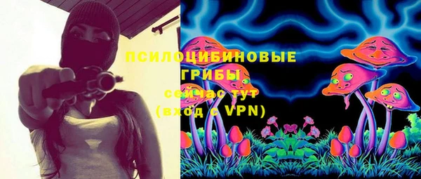 первитин Каменногорск
