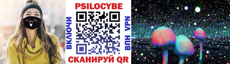Купить закладки  Абинск  Псилоцибиновые грибы прущие грибы 